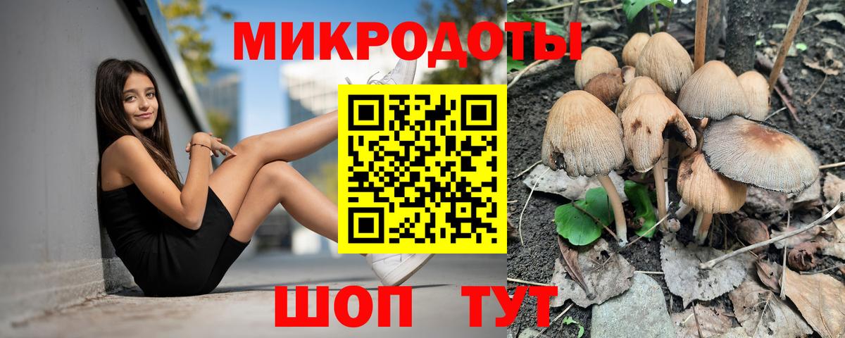 Галлюциногенные грибы прущие грибы  Вход с VPN  Кувандык 